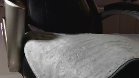 poppyntx online show from February 20, 3:36 am