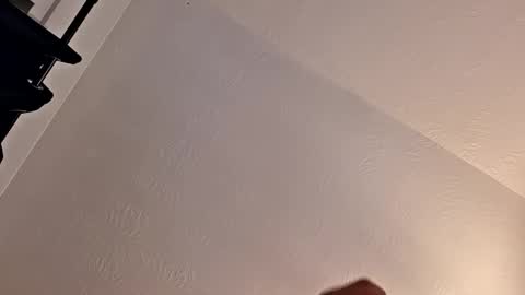 primercampeon79 online show from November 25, 3:52 am