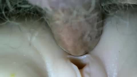 Snapshot of protecbuzz chatting on October 31, 12:01 am needtocum online show from October 31, 12:01 am