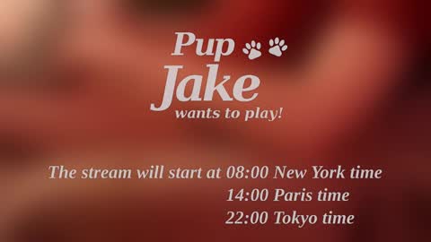 Pup Jake wants to play online show from December 25, 12:05 pm