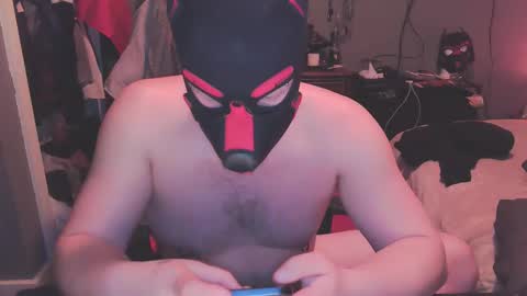 pupdrz32 online show from March 8, 11:14 am