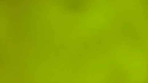 quinnxx online show from March 9, 6:29 am