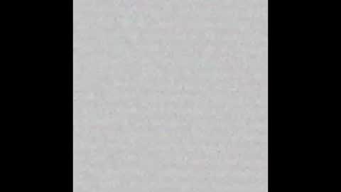 r8881 online show from October 6, 5:50 pm