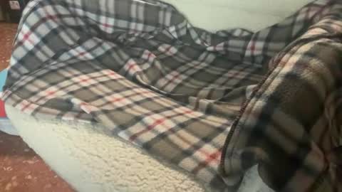 rafa427099 online show from February 4, 2:17 am