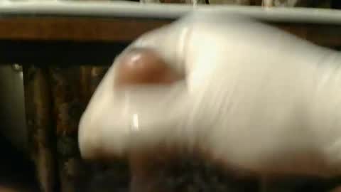 RAFi online show from February 23, 4:47 am