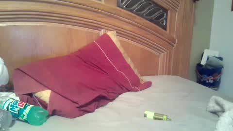 hitman online show from November 2, 10:41 am