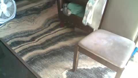 Randy8inbater online show from December 18, 6:59 pm