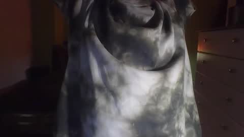 red_star_96 online show from February 8, 3:19 am