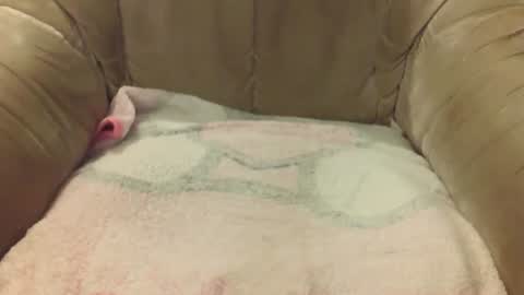 Mark online show from February 16, 11:52 am