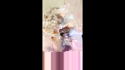 rgbarbary online show from December 21, 9:17 am