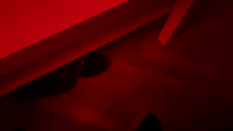 rgccaptainn online show from December 21, 6:21 am