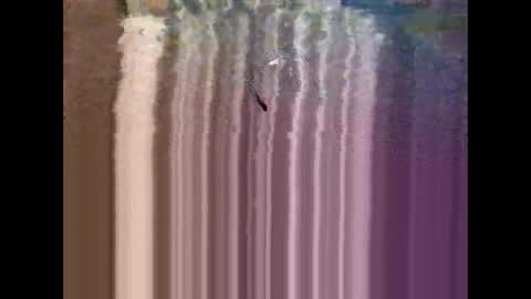 Rob88 online show from December 18, 7:10 pm