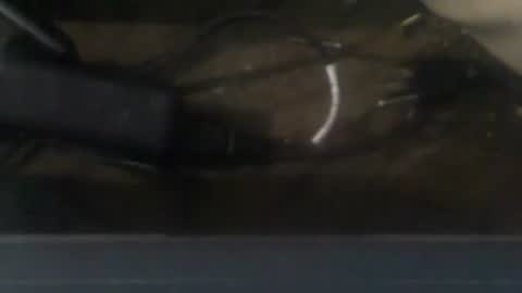 R online show from December 20, 3:36 am