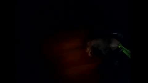 R online show from January 28, 4:50 am