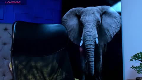 rocco_santos online show from October 11, 3:21 am