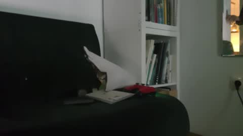 rodrigo_21cm online show from February 3, 11:04 am