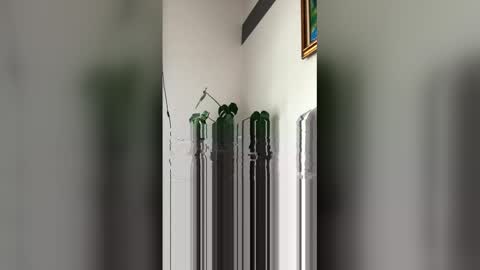 Roni Hall online show from March 29, 6:08 pm