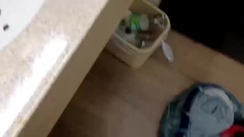 rozayfun online show from November 21, 9:58 pm