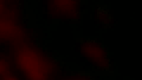 Ryan Star online show from January 18, 8:10 am