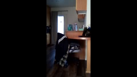 salis1981 online show from April 18, 7:18 pm