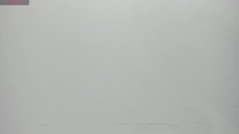 SALVATORE online show from February 14, 11:10 am