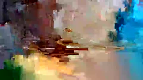 sameroptike67 online show from January 17, 3:42 am