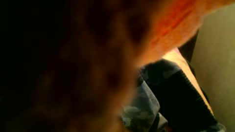 samueltal online show from November 6, 9:29 pm