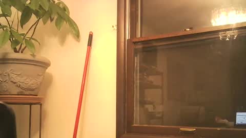 scottpbi52 online show from October 3, 4:06 am