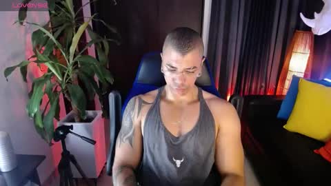 sed online show from December 26, 10:26 am