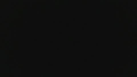 segebe online show from November 17, 11:46 am