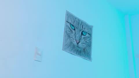 Alexis online show from September 13, 9:49 pm