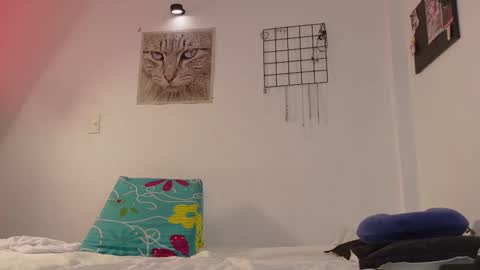 Alexis online show from November 28, 2:59 am