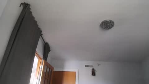 sexbrute online show from September 11, 2:38 pm