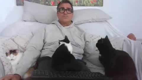 Sexurbation online show from January 19, 2:17 pm