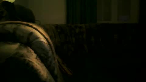 Snapshot of shaomy711 chatting on January 27, 6:52 pm excelo21 online show from January 27, 6:52 pm