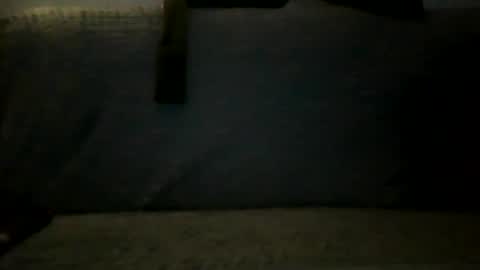 Snapshot of shaomy711 chatting on January 3, 3:01 pm excelo21 online show from January 3, 3:01 pm