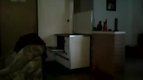 Snapshot of shaomy711 chatting on January 12, 7:32 am excelo21 online show from January 12, 7:32 am