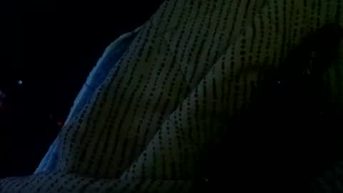 showornot_2 online show from January 11, 7:34 am