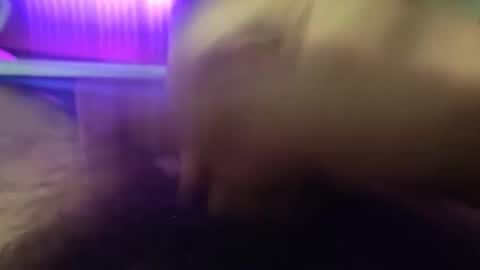 me online show from December 3, 4:40 am