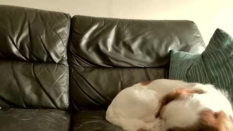 shyguy859271 online show from September 15, 11:11 am