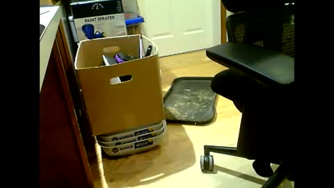 Snapshot of sirthomastom chatting on February 26, 10:29 pm random precision online show from February 26, 10:29 pm