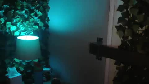 skyonetoo3 online show from December 29, 9:50 am