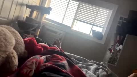 Snapshot of slickbadboy chatting on February 26, 10:18 pm slickbadboy online show from February 26, 10:18 pm