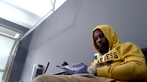 BBC Hanging online show from February 8, 6:44 pm