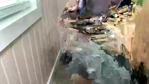 slmjjon online show from April 26, 5:10 pm