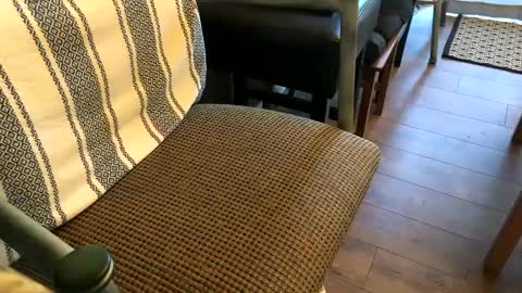 Snapshot of smokefest187 chatting on October 13, 7:20 pm Peter Johnson online show from October 13, 7:20 pm