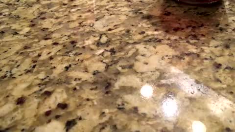 Snapshot of smokefest187 chatting on December 25, 8:28 pm Peter Johnson online show from December 25, 8:28 pm