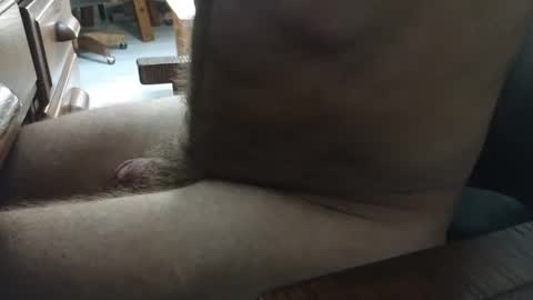 SmPerv online show from February 25, 11:52 am