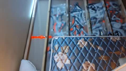 Snapshot of sohan730903 chatting on October 2, 10:41 am sohan730903 online show from October 2, 10:41 am