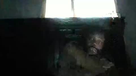 source1012 online show from November 22, 3:55 pm